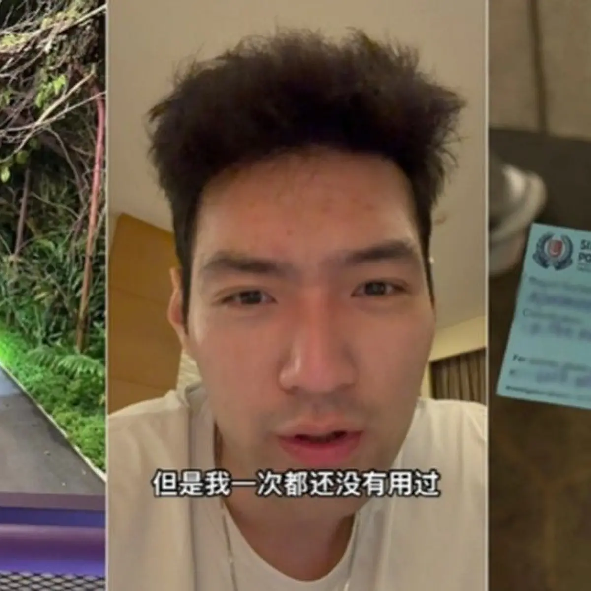 Photo: bsinews.id Chinese Tourist Robbed of LV Bag and Passports at Gardens by the Bay in Singapore